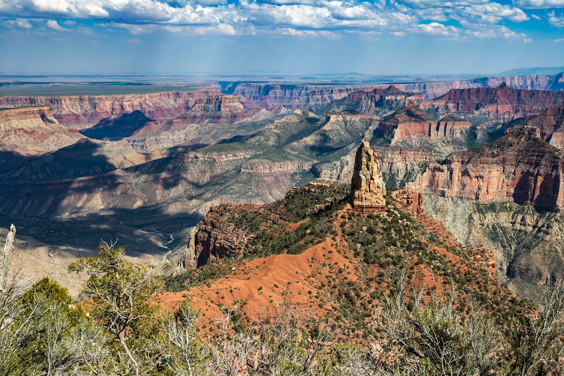 190601_123 North Rim of the Grand Canyon in Northern Arizona, USA