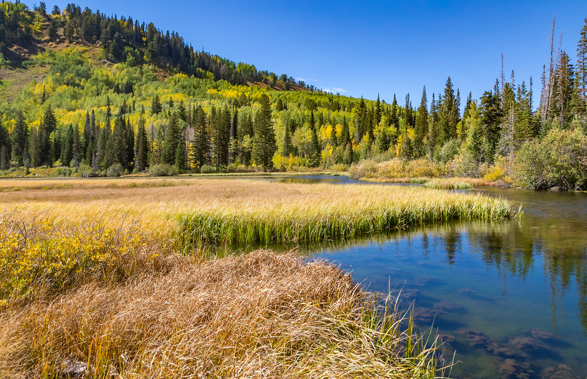 180915_100 Streams from the Wasatch Mountains flowing into Silver Lake in Big Cottonwood Canyon near Salt Lake City, Utah