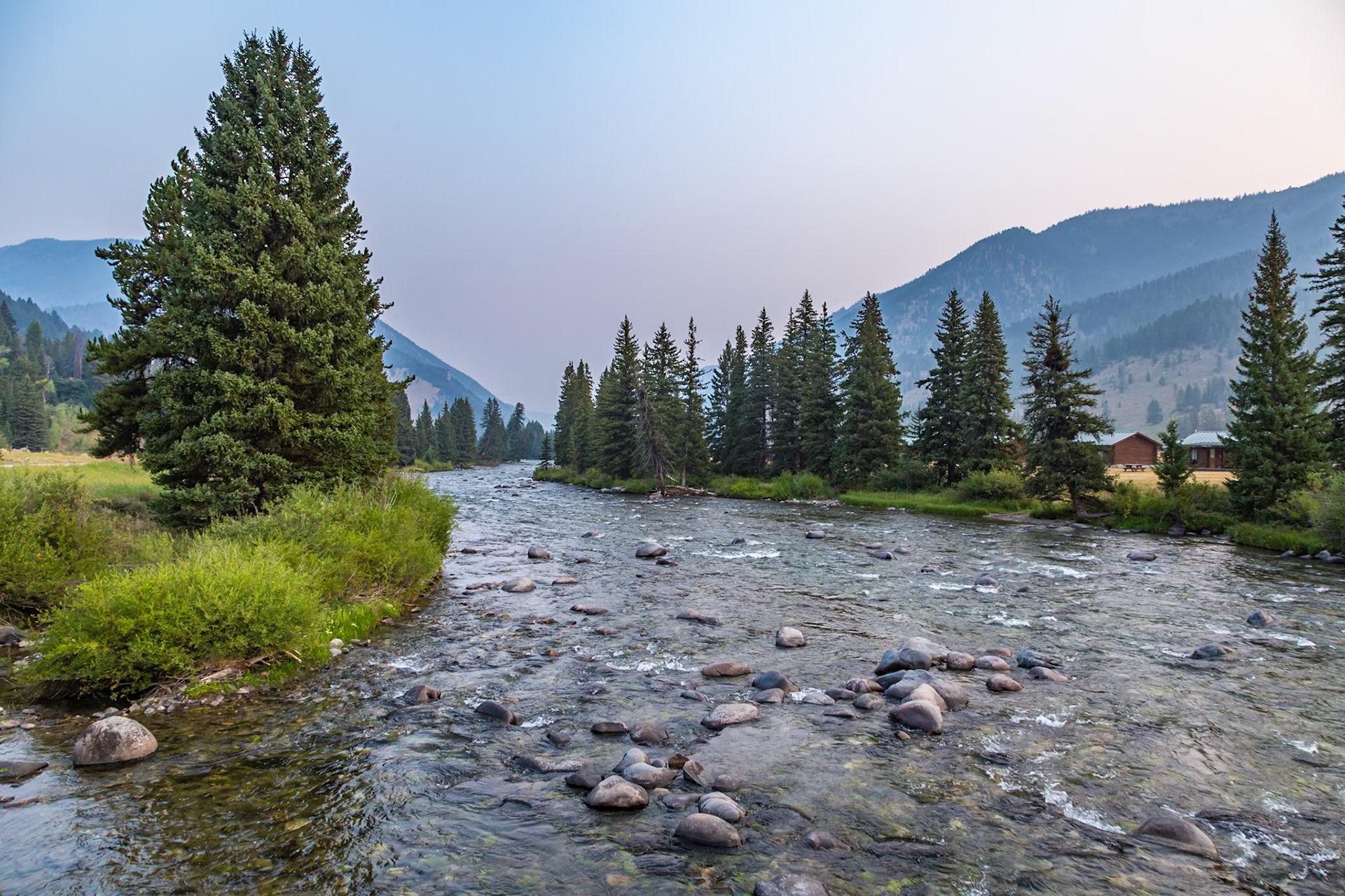 180819_012 Madison River flowing through pine trees along Hwy 191 near the west gate of Yellowstone National Park in Wyoming
