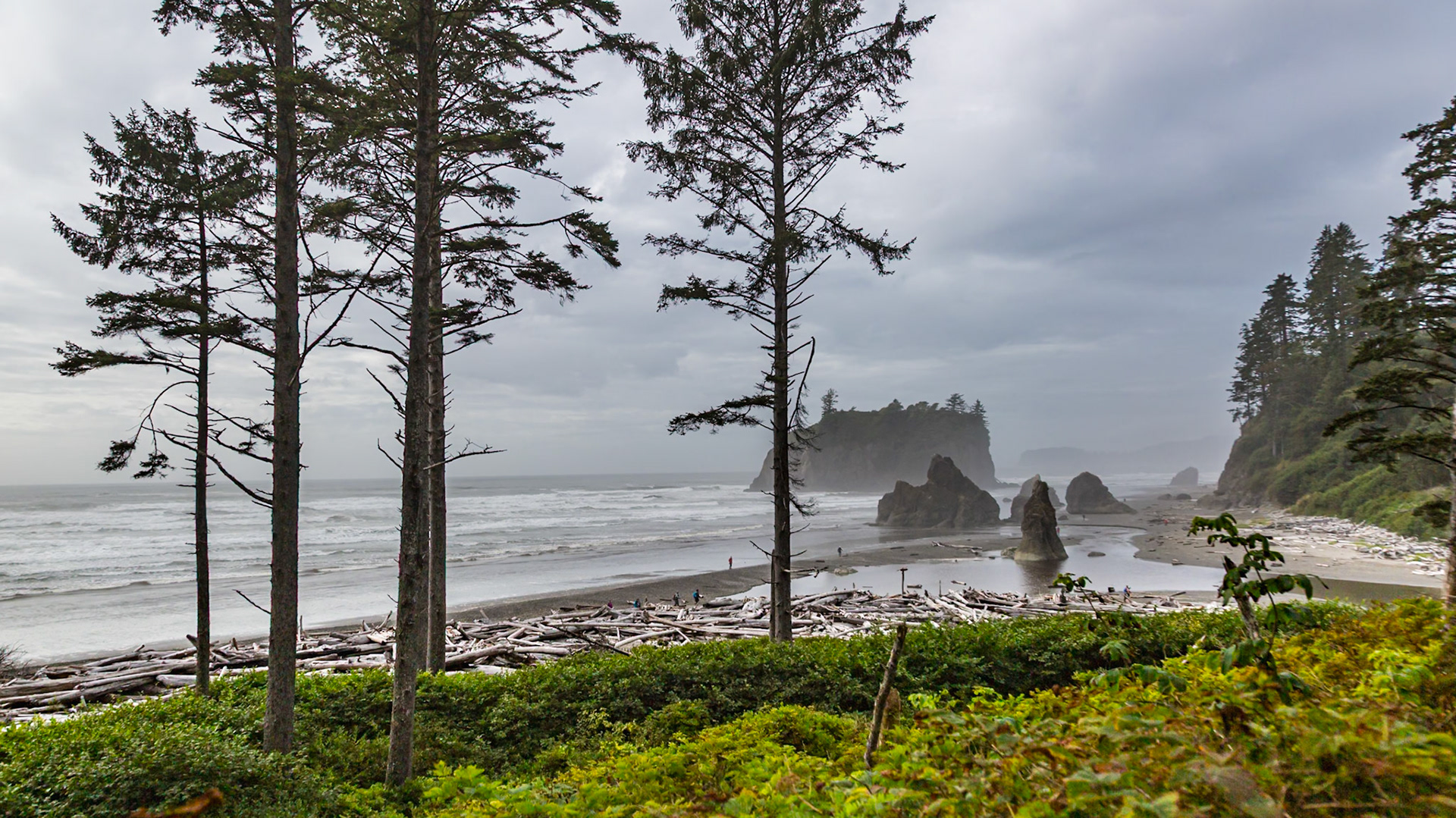 180910_125 Large rock seastacks at Ruby Beach in the Olympic National Park near Forks, Washington