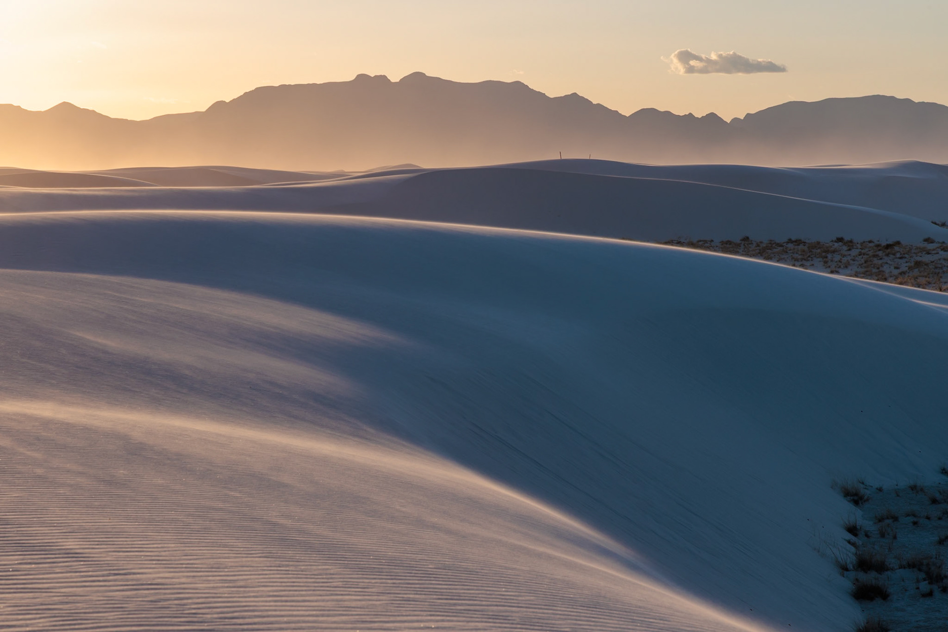 230323_168 Smooth curved sand dunes in evening light at White Sands National Park in Alamogordo, New Mexico, USA