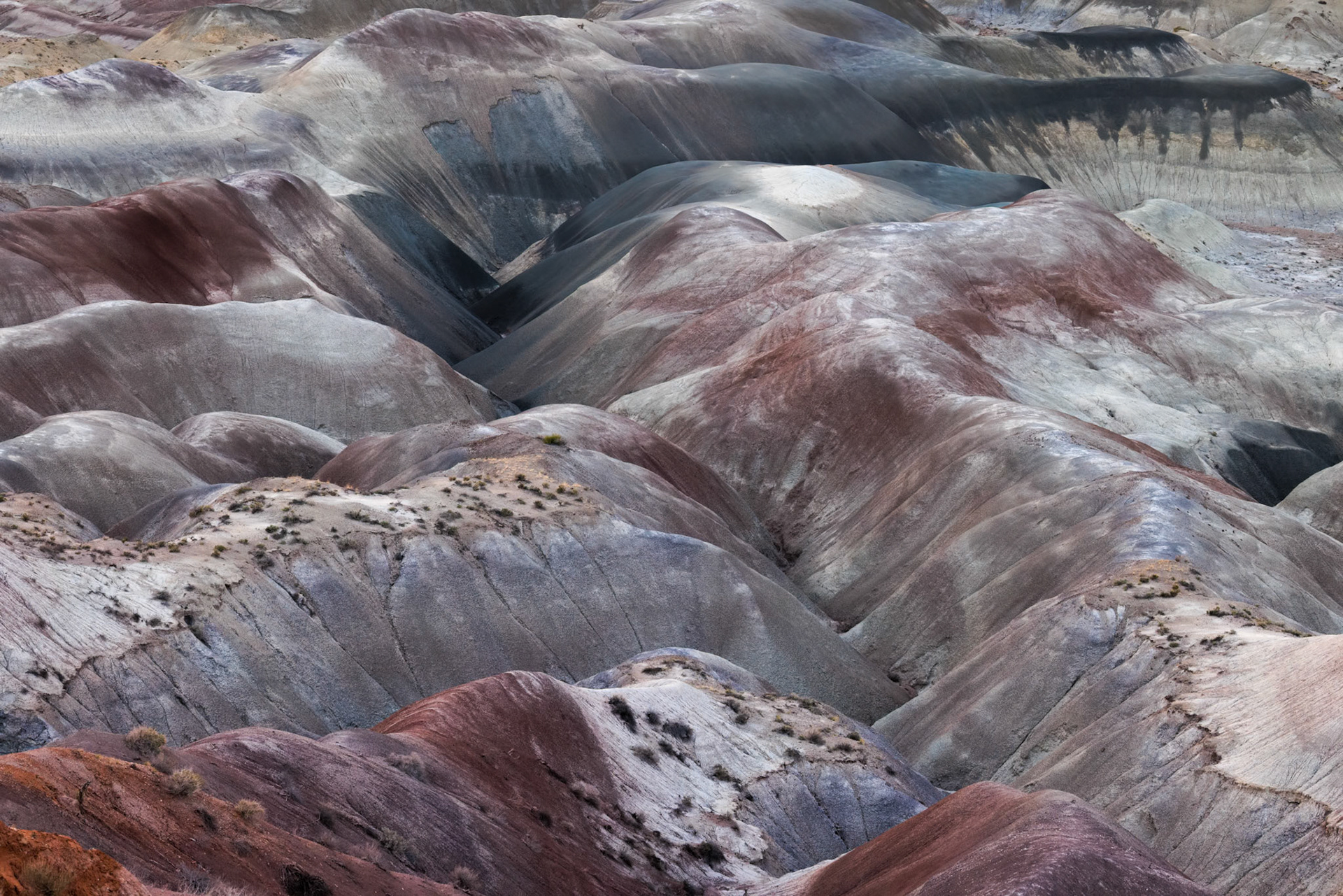 Colorful deposits of the Chinle Formation exposed at Little Painted Desert County Park near Winslow, Arizona