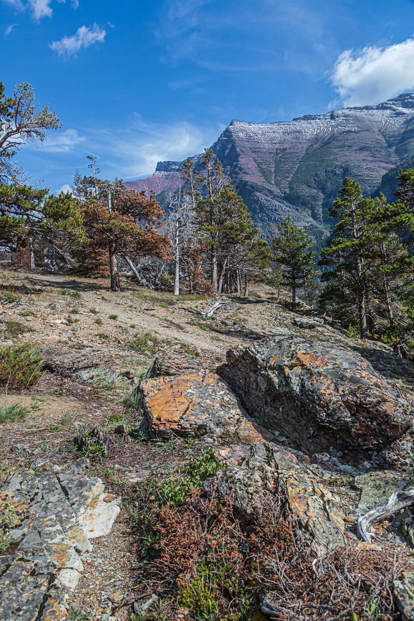 180828_197 Rugged mountains at Glacier National Park in Montana