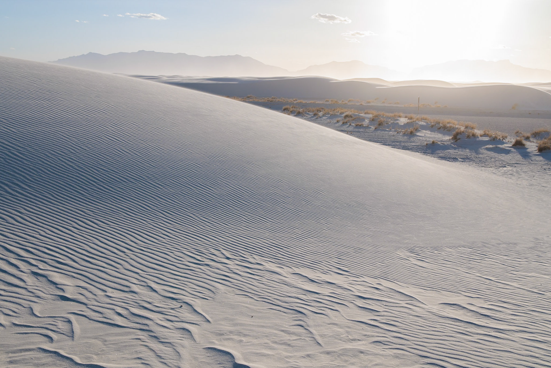 230323_129 Patterns in the dunes at White Sands National Park in Alamogordo, New Mexico, USA