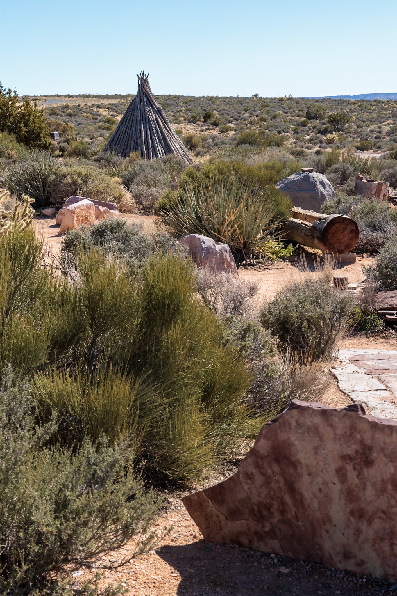 230405_207 Native American cultural exhibits and natural flora at Grand Canyon West near Peach Springs, Arizona