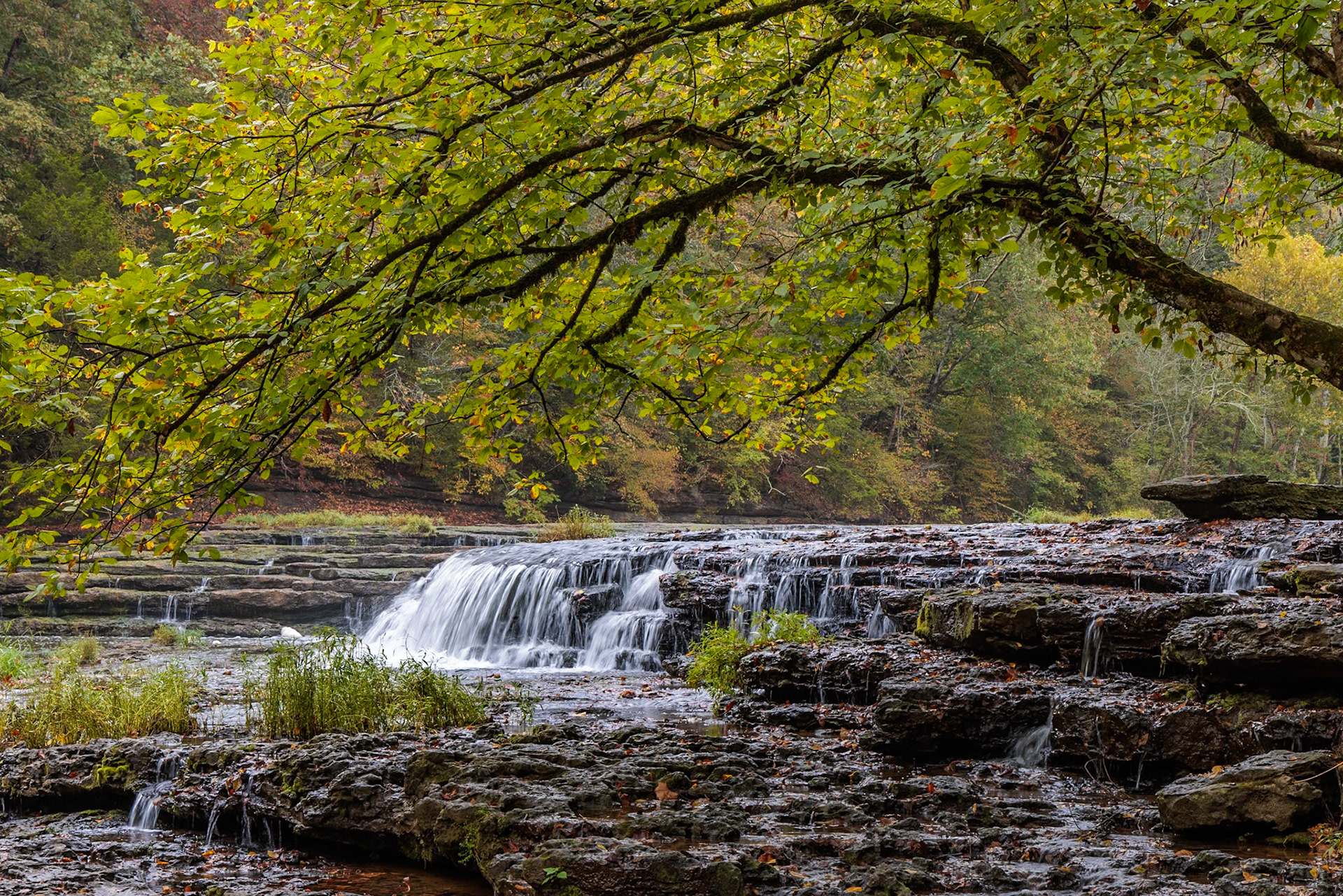 231006_010 Falling Water Cascades in Burgess Falls State Park near Cookeville, Tennessee