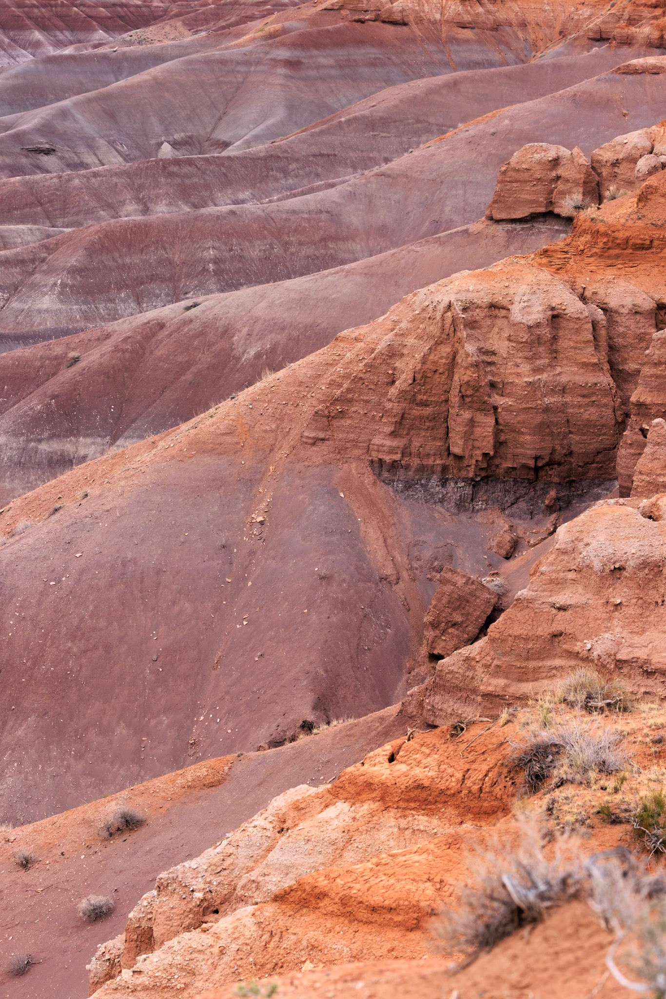 230411_262 Colorful deposits of the Chinle Formation exposed at Little Painted Desert County Park near Winslow, Arizona