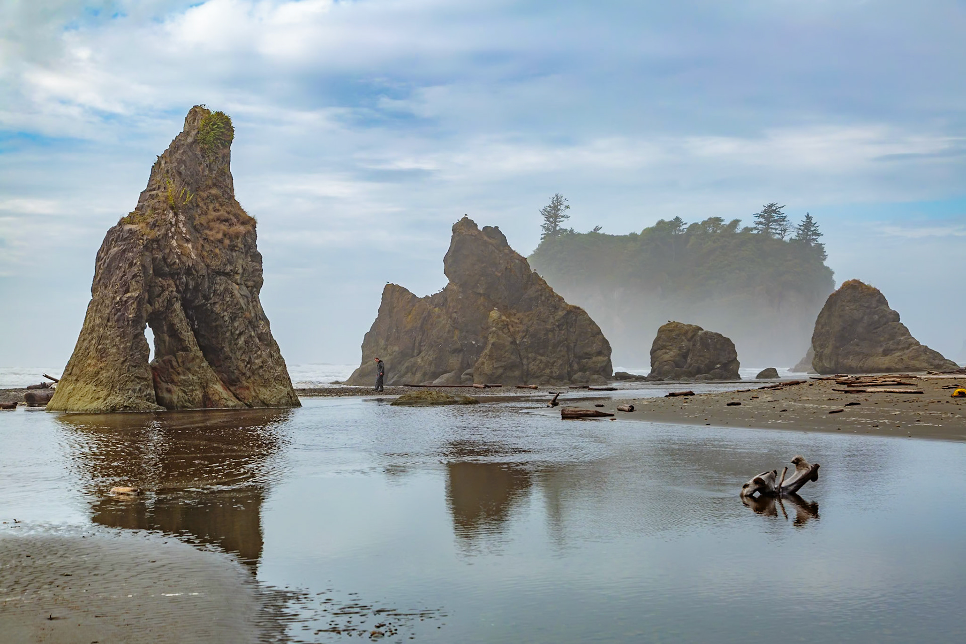 180910_079 Large rock seastacks at Ruby Beach in the Olympic National Park near Forks, Washington