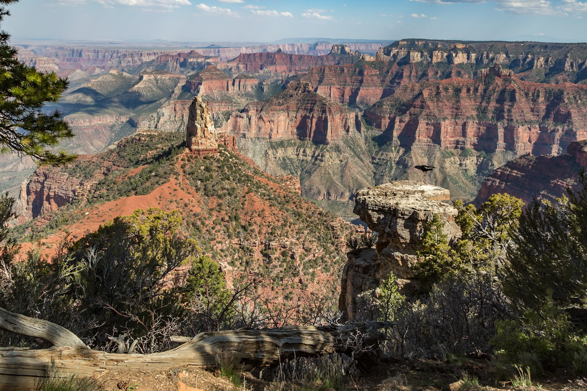 190601_152 North Rim of the Grand Canyon in Northern Arizona, USA