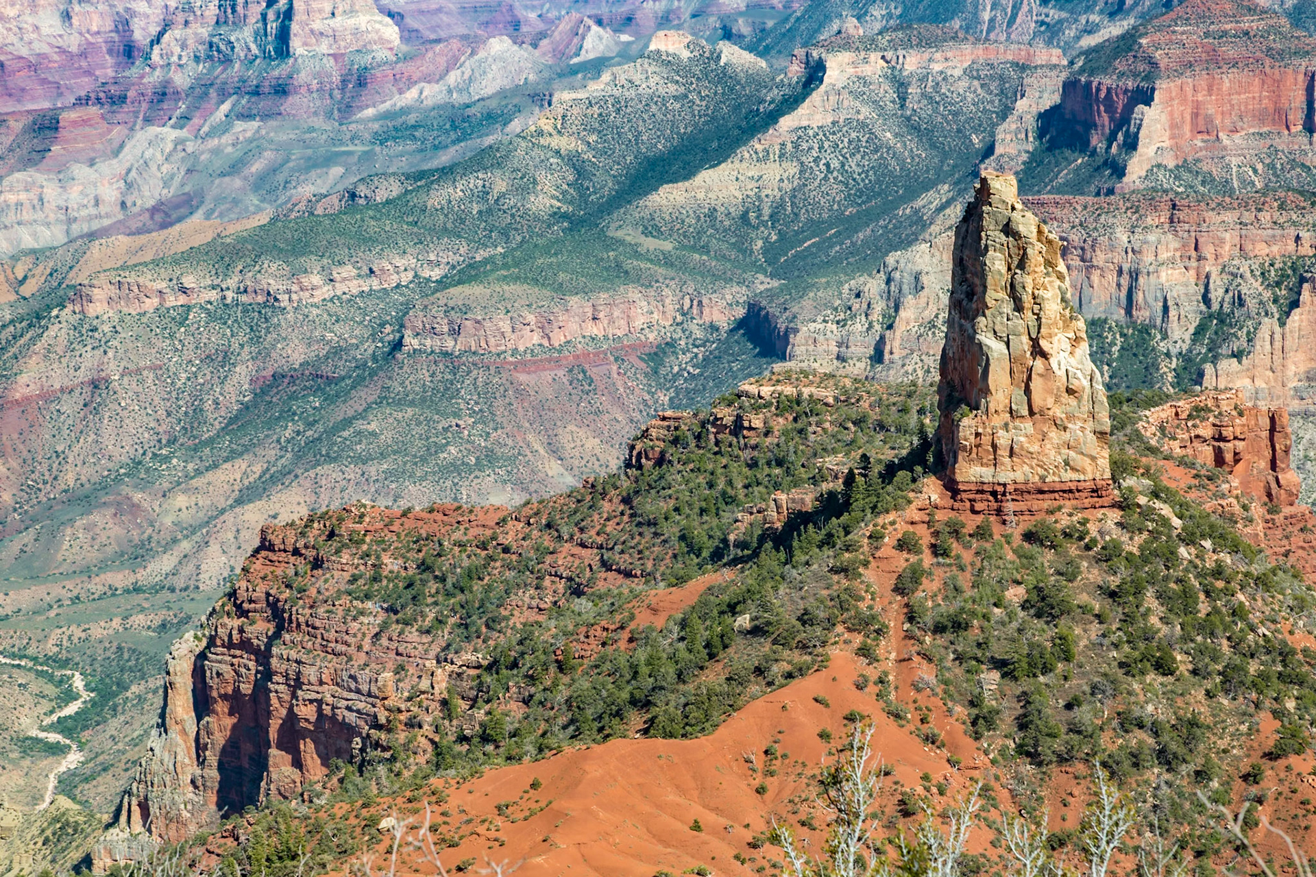 190601_130 North Rim of the Grand Canyon in Northern Arizona, USA