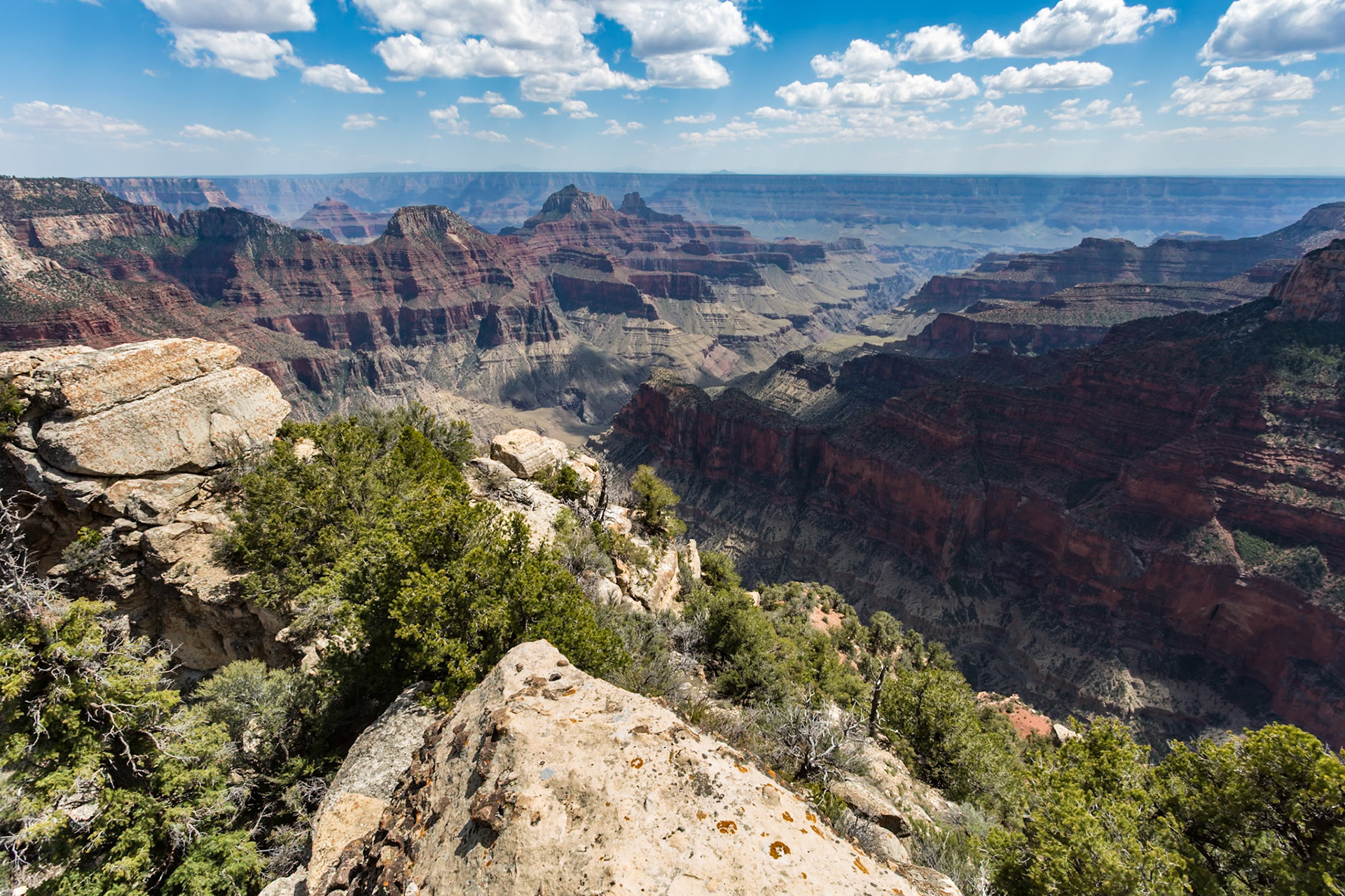 190601_048 North Rim of the Grand Canyon in Northern Arizona, USA