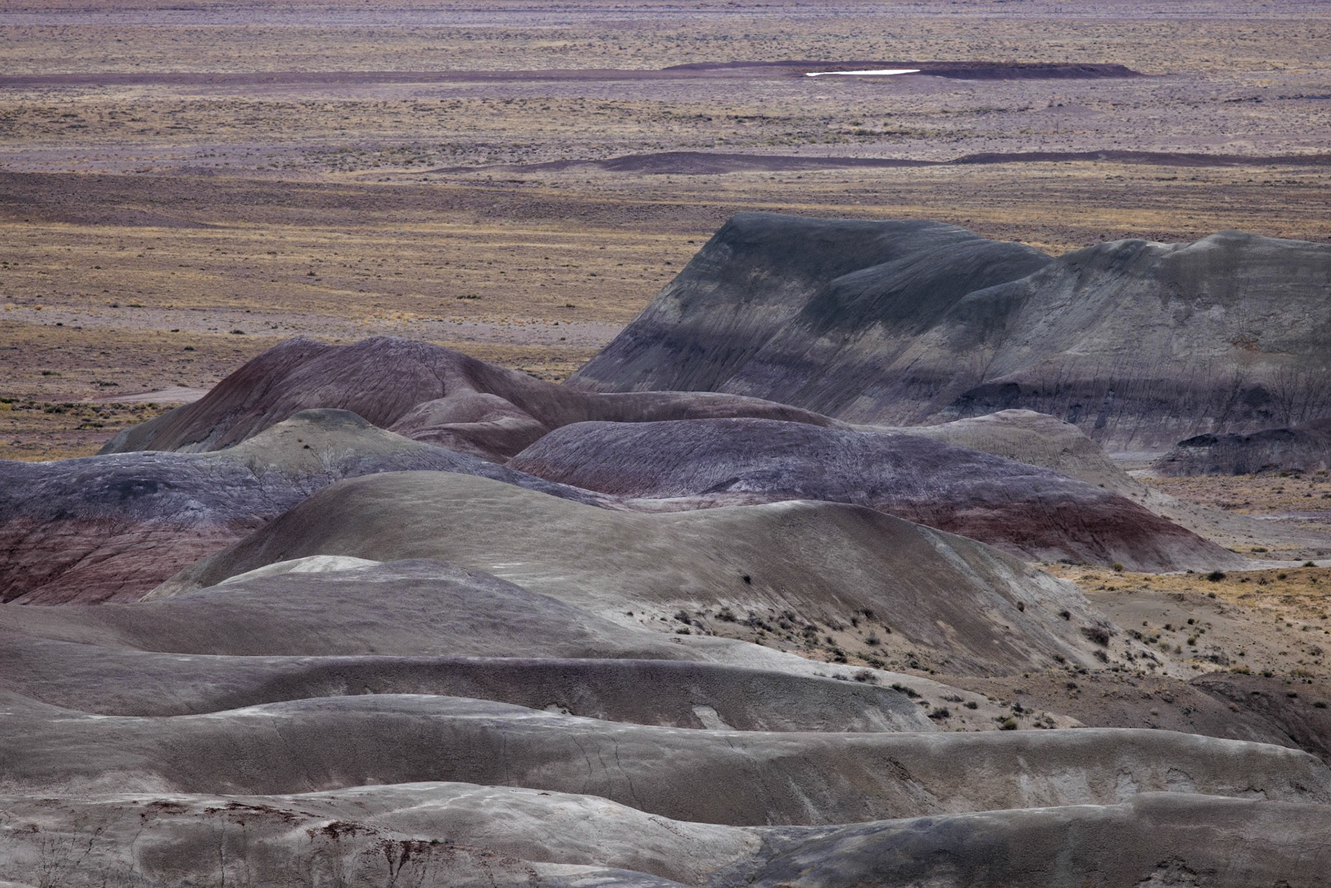230411_239 Colorful deposits of the Chinle Formation exposed at Little Painted Desert County Park near Winslow, Arizona
