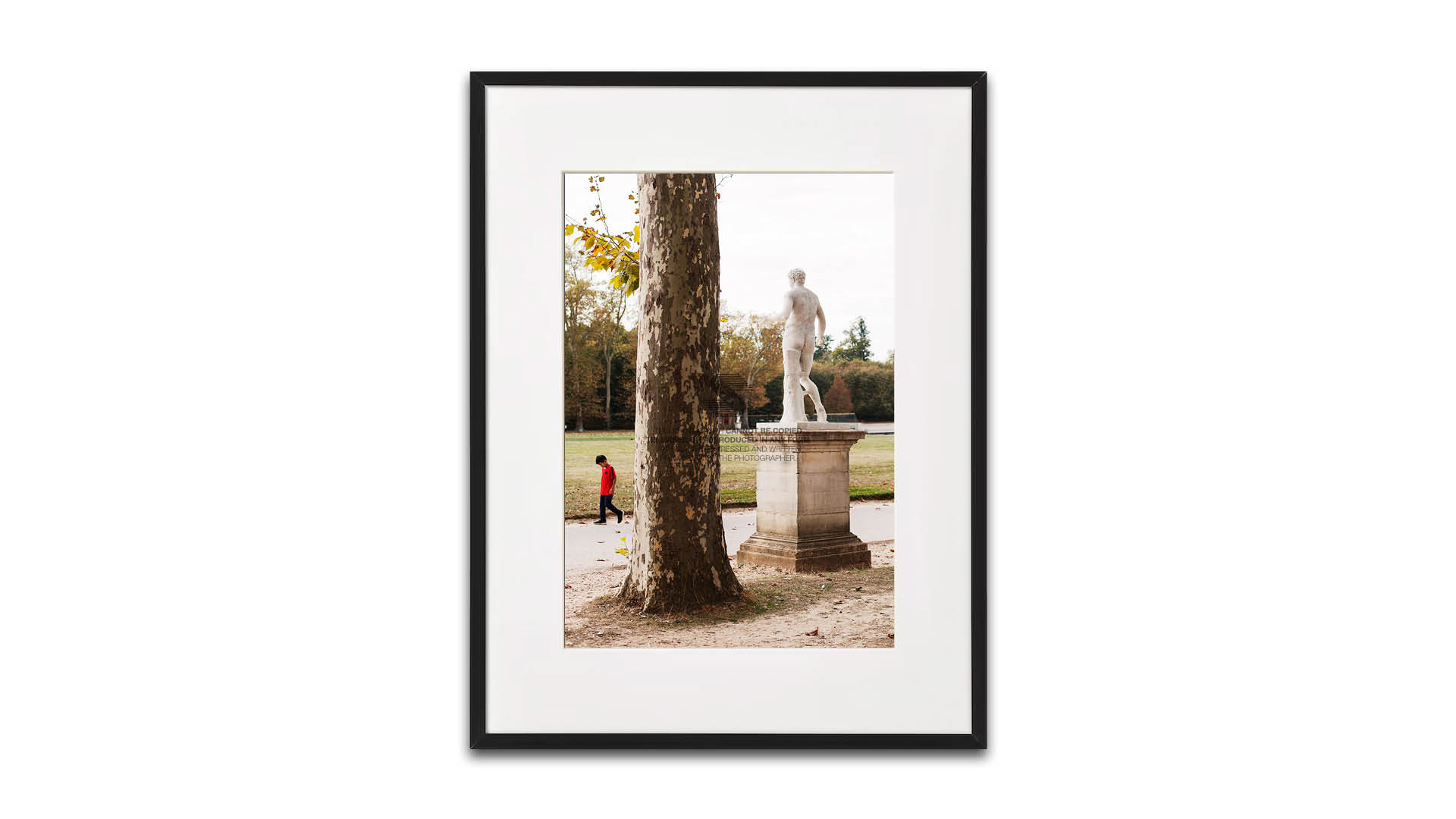 Alessandro Serri - Il bambino nel giardino, Versailles, 2016