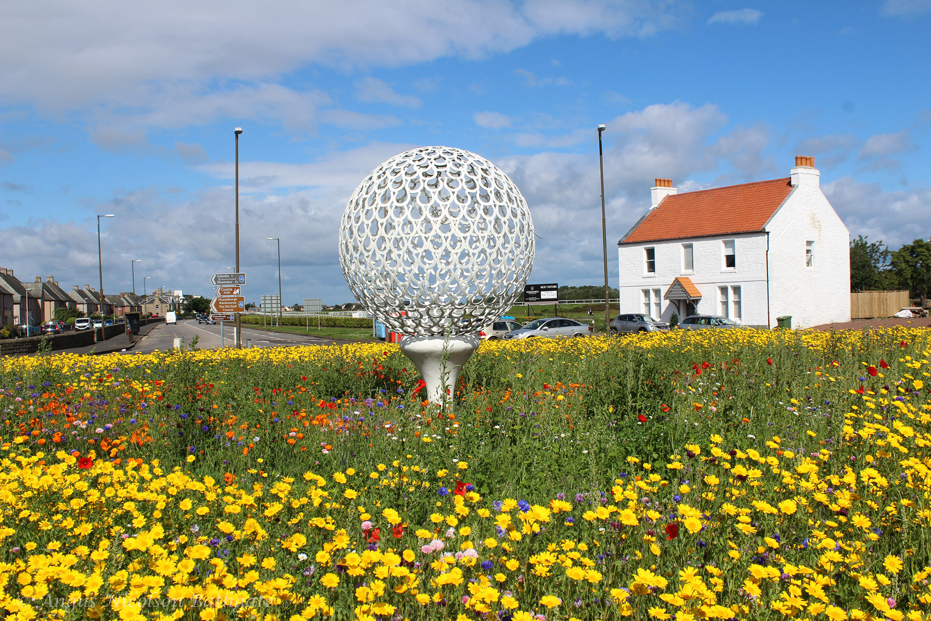 Golf ball and Tee, Levenhall