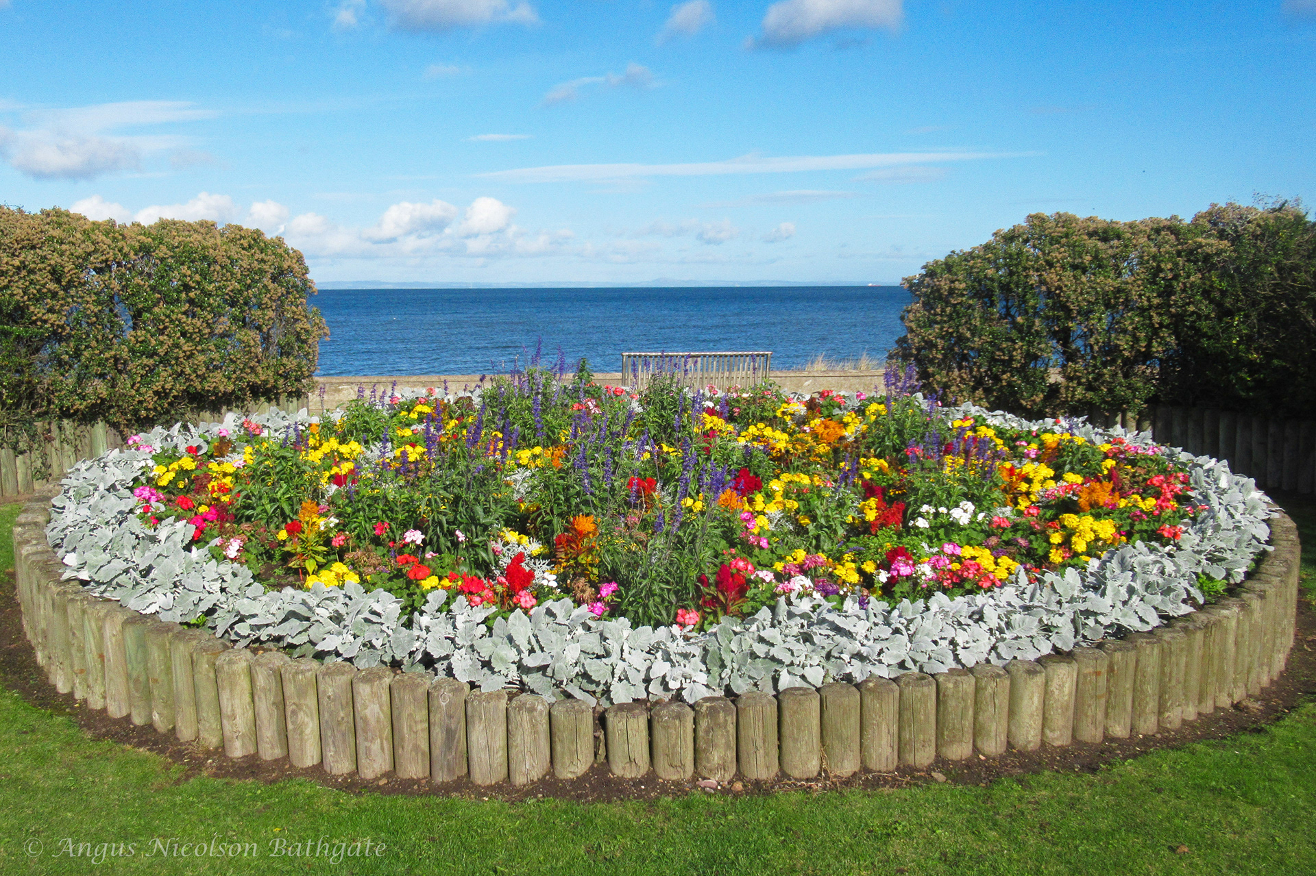 Flower bed on Edinburgh Road