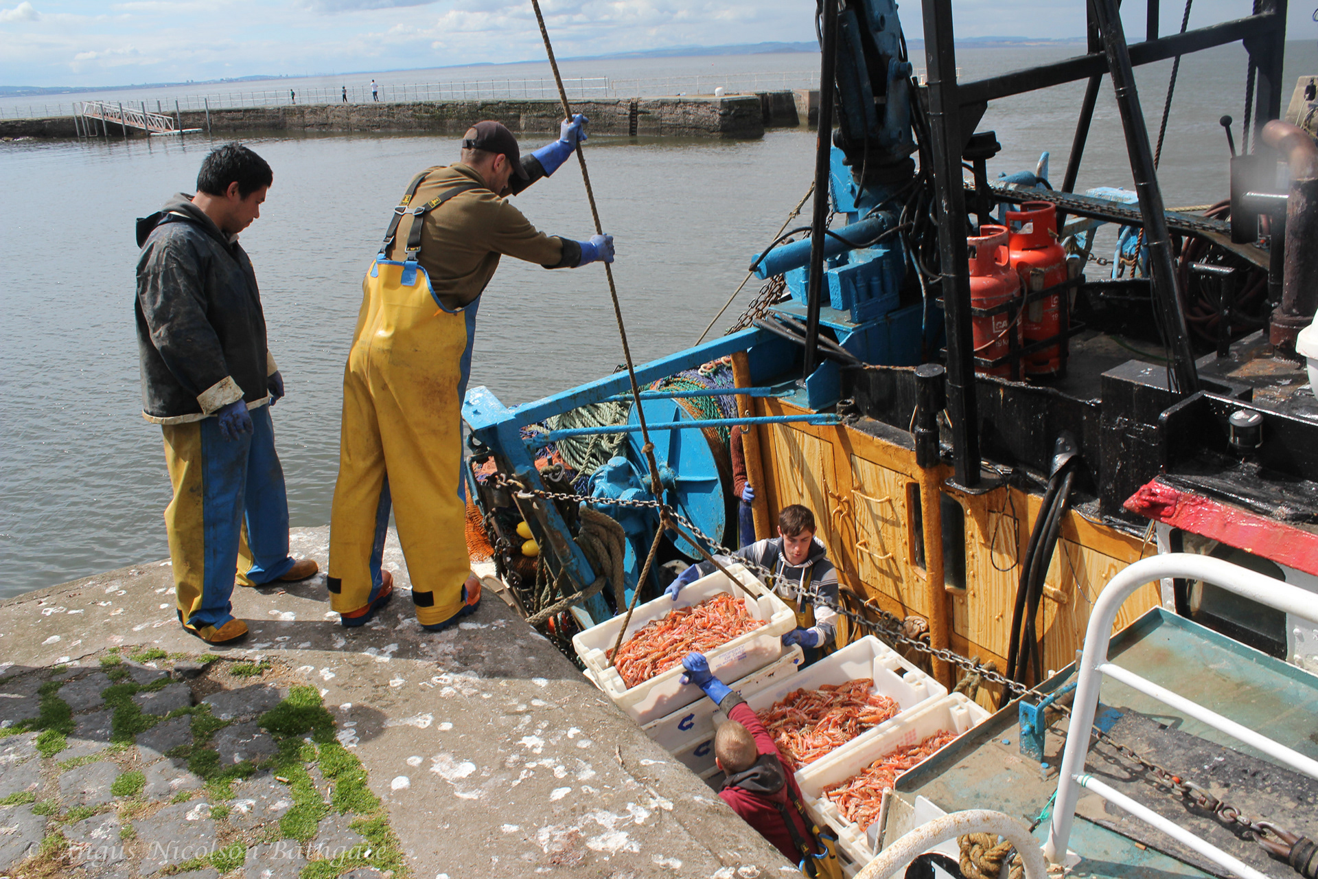 Fishermen unloading their catch