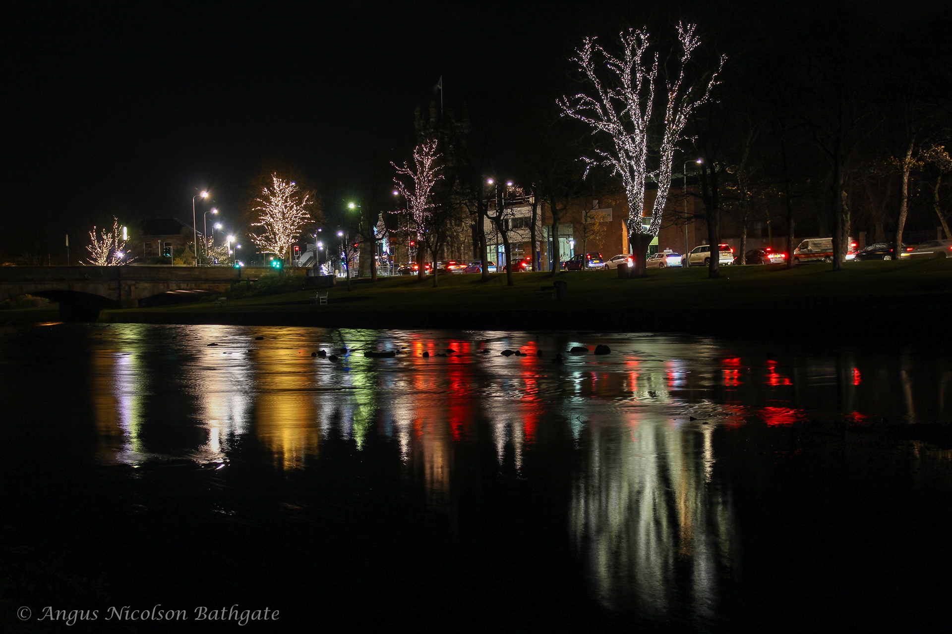 Christmas lights by the Esk