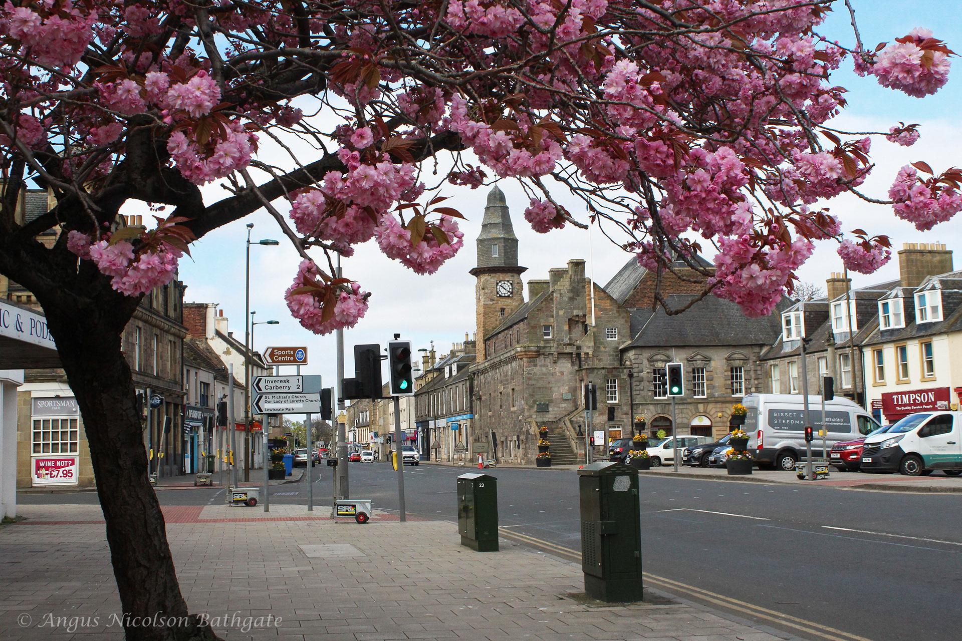 The Tolbooth clock tower framed by cherry blossom
