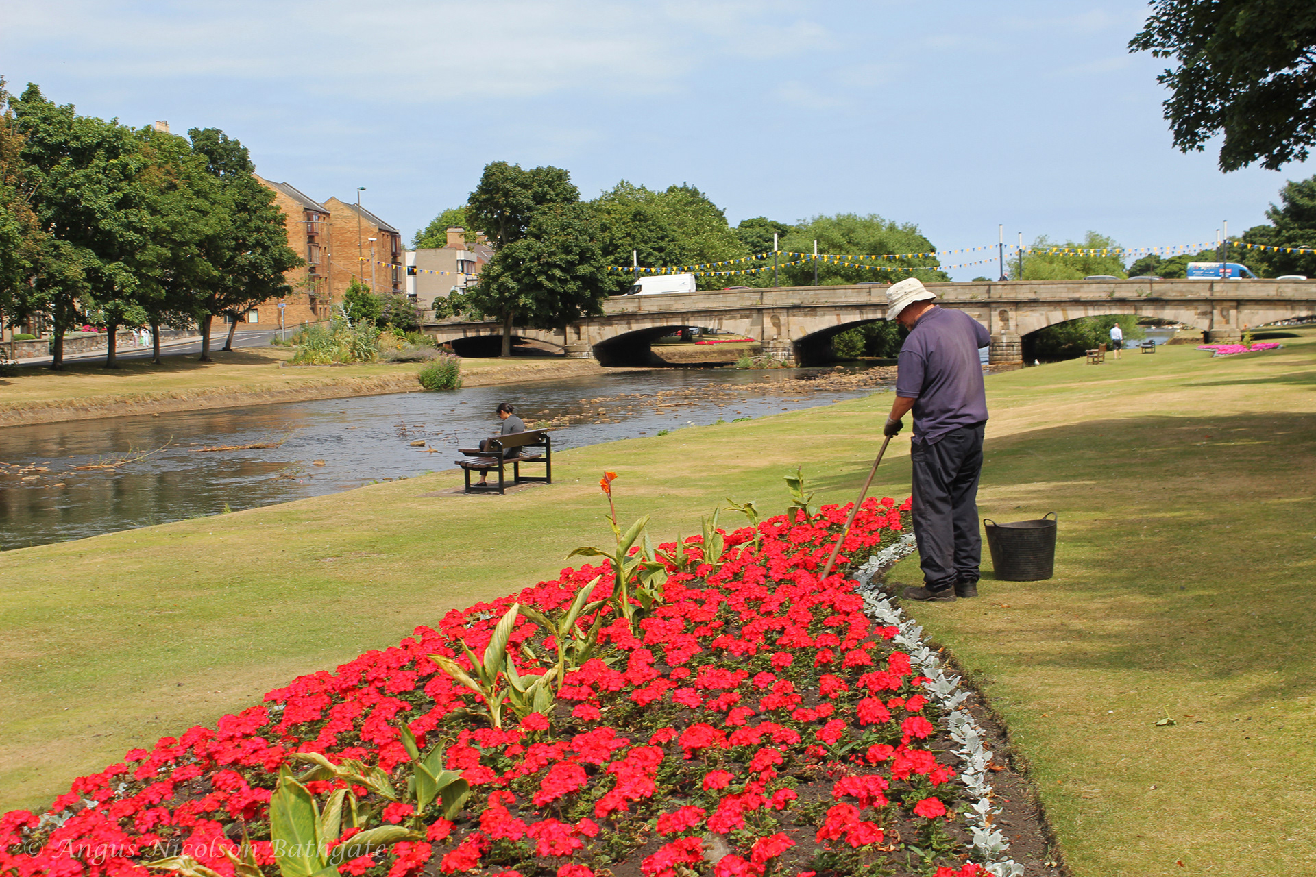 Flower beds by the River Esk