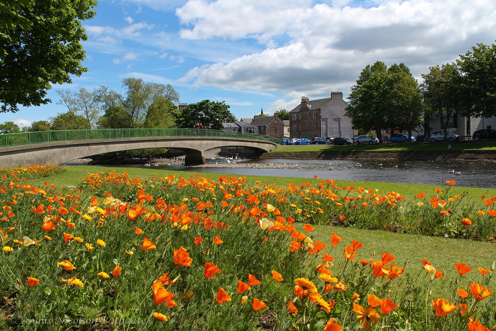 River Esk and The Store bridge