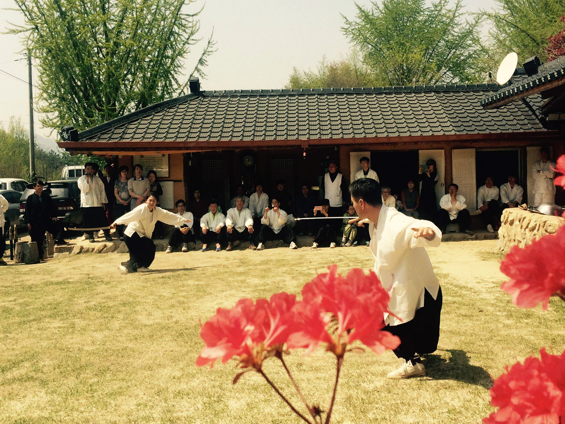 GEOMSUL