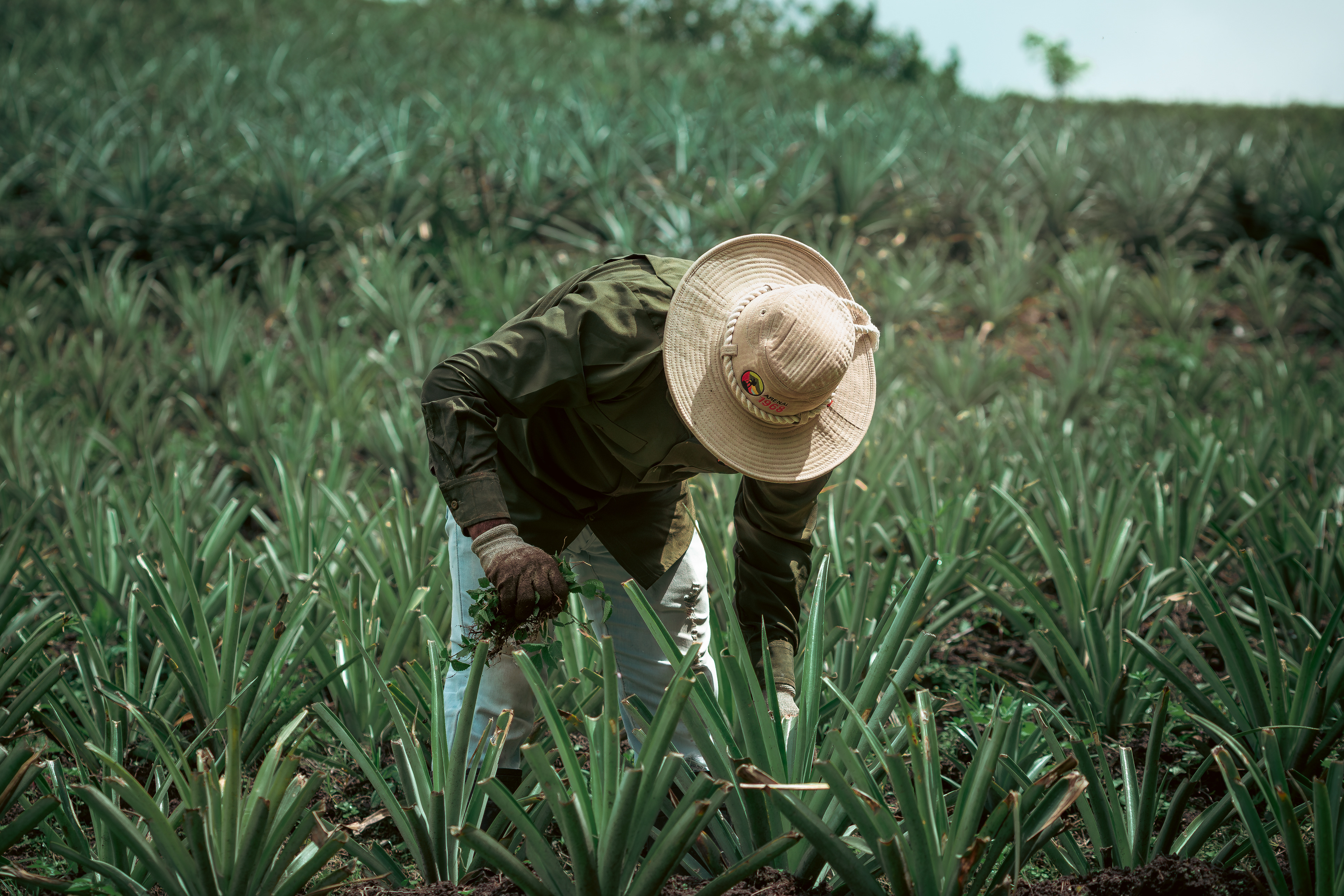 Farmer in La Fortuna, Costa Rica
