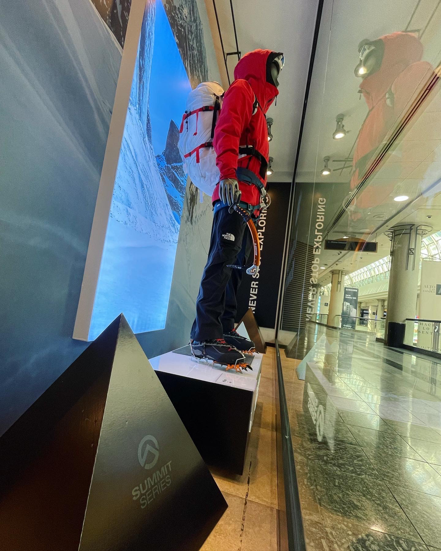 Vitrina SUMMIT SERIES / The north face