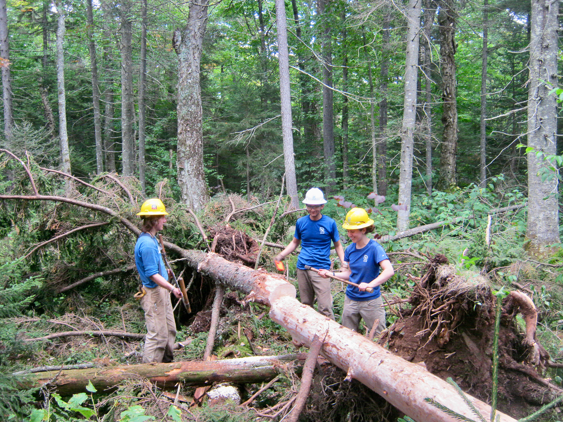 Cutting timbers to proper lengths