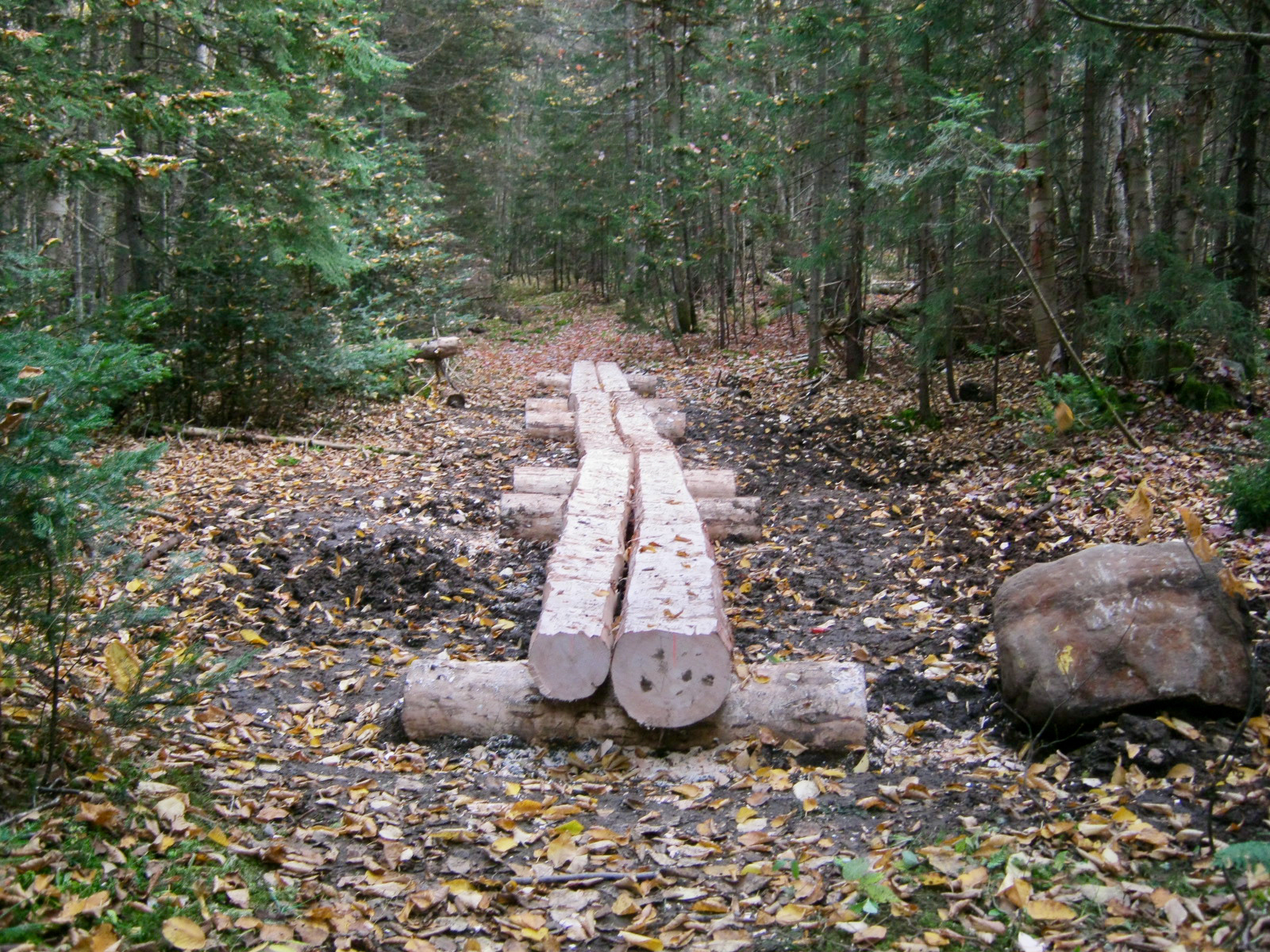 Completed bog bridges