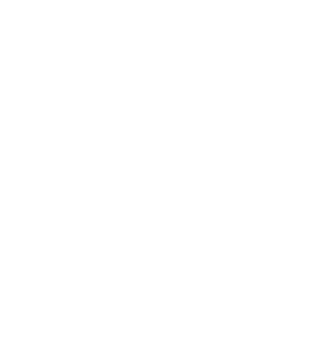 Nick Palazzo Logo