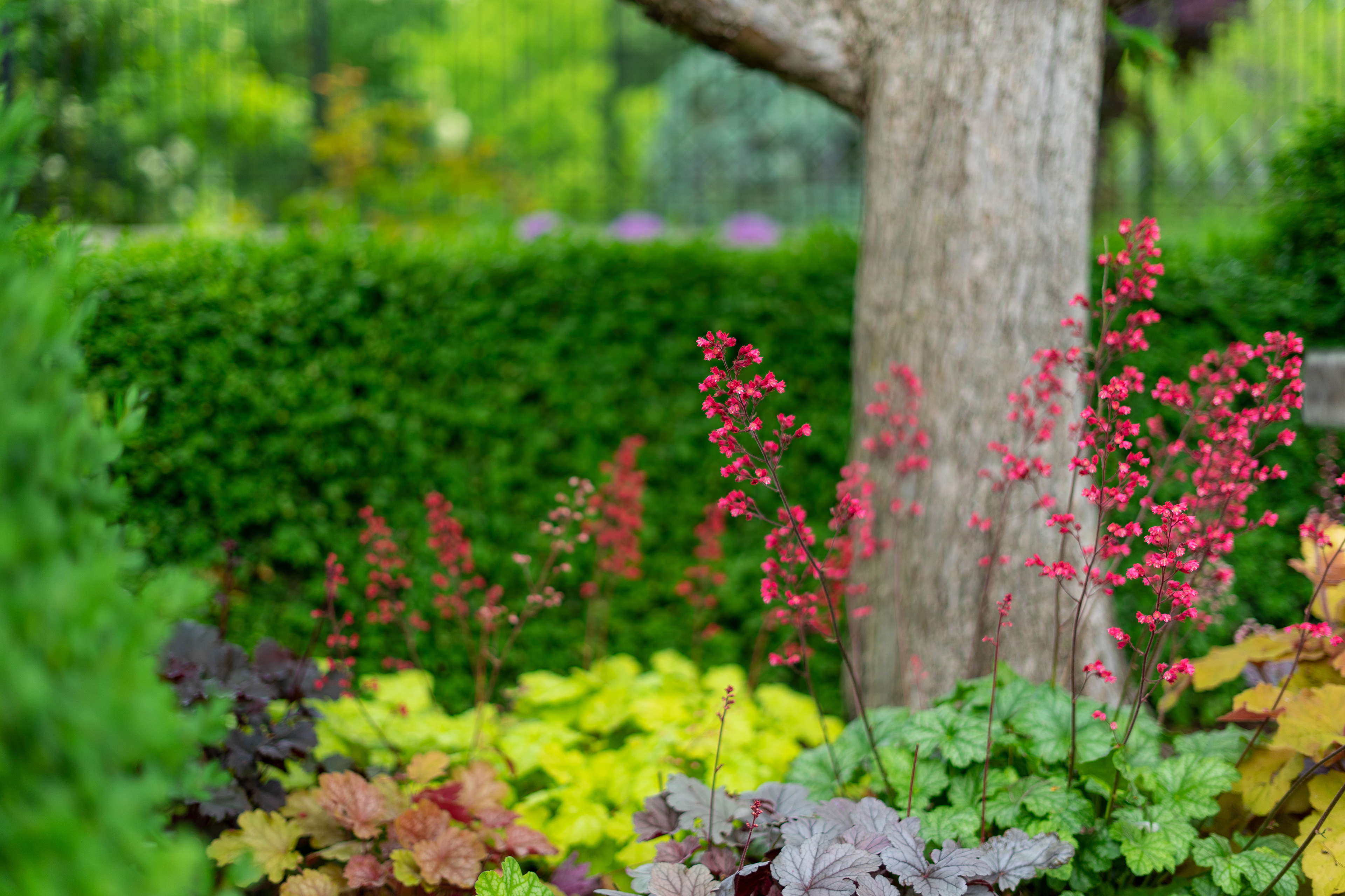 nature and landscape
