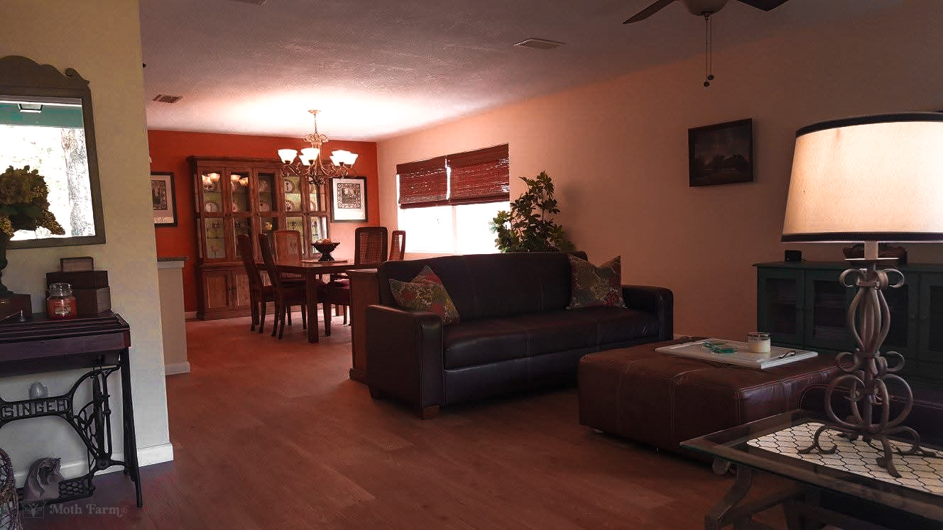 LIVING ROOM | ENTRYWAY