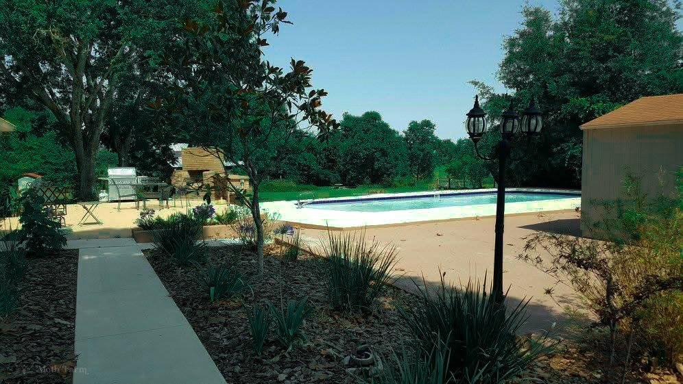 BACKYARD | POOL
