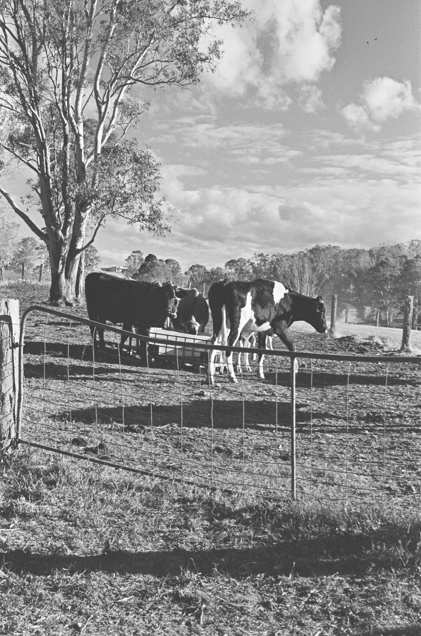 Around the trough