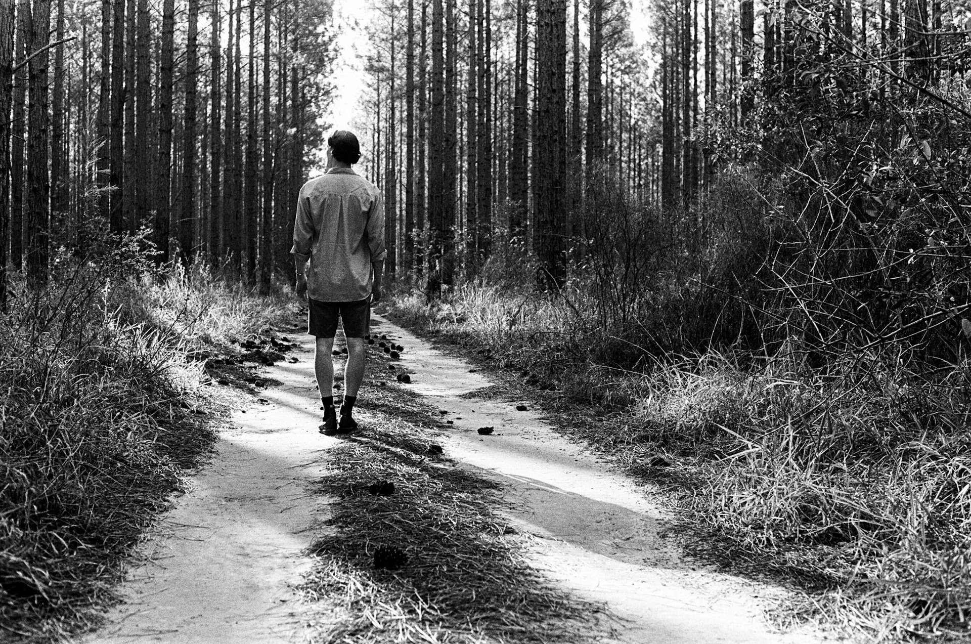 Riley in Beerburrum State Forest [II]