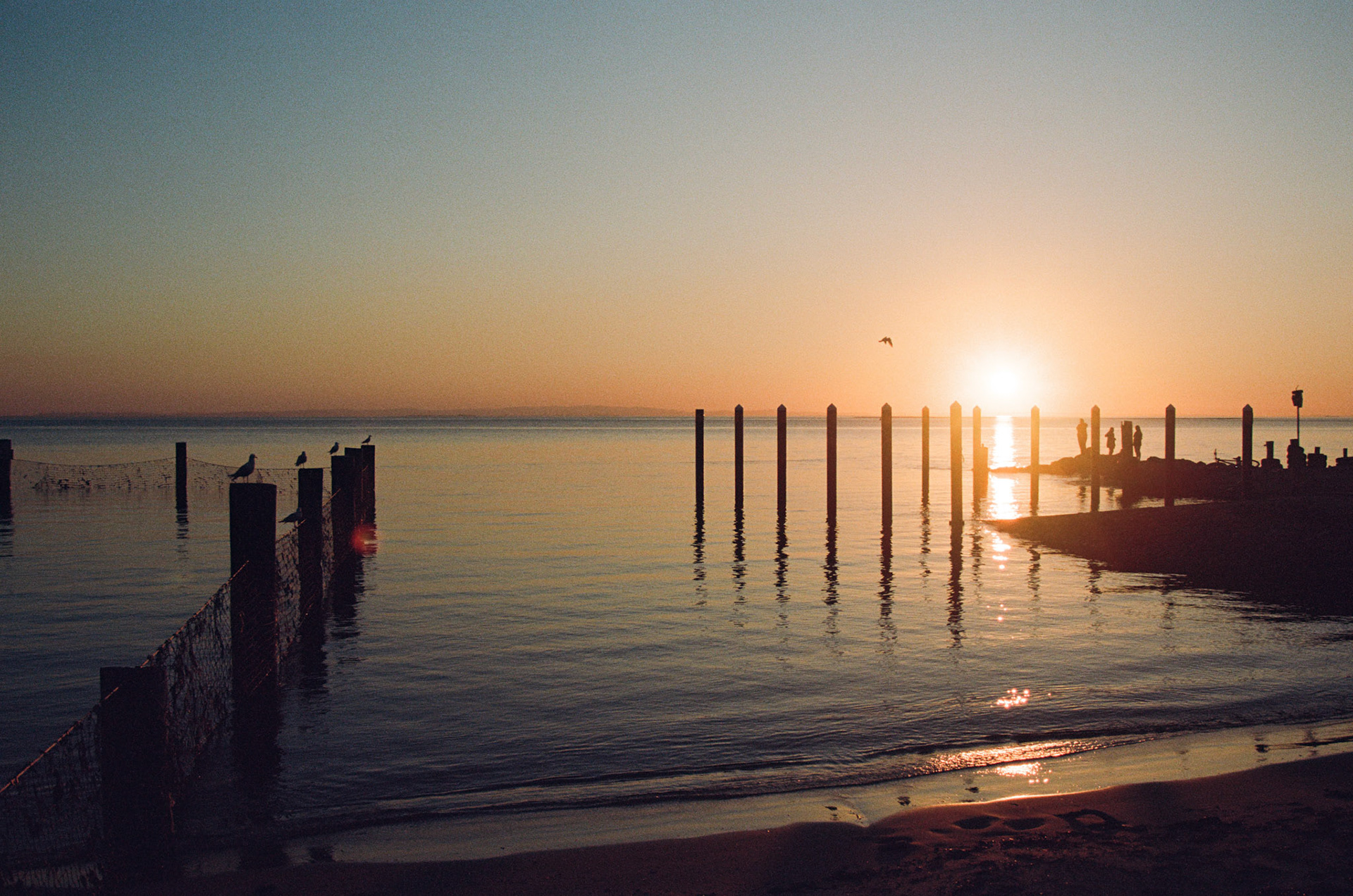 Bayside Sunset