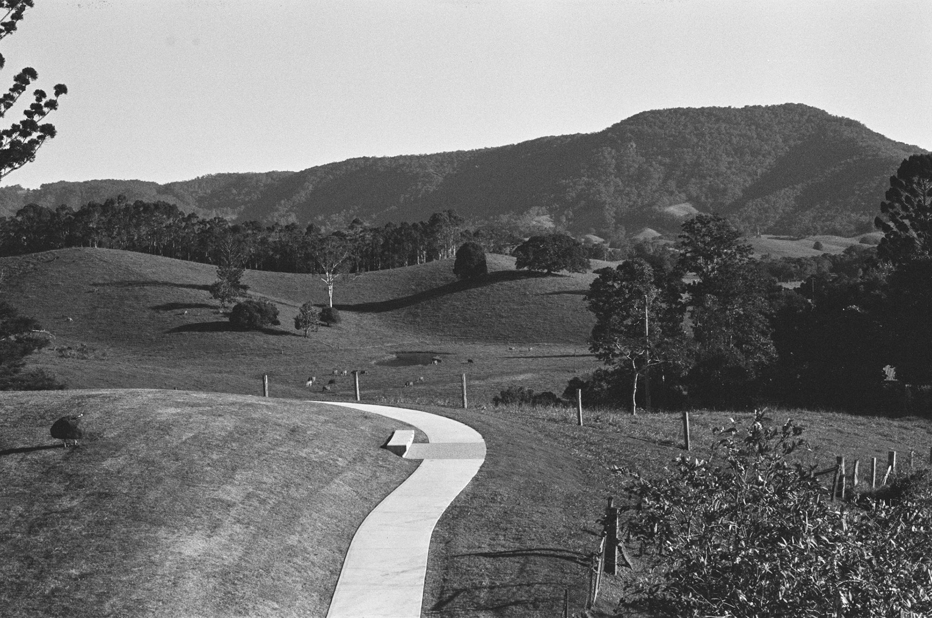 The view from Tweed Regional Gallery