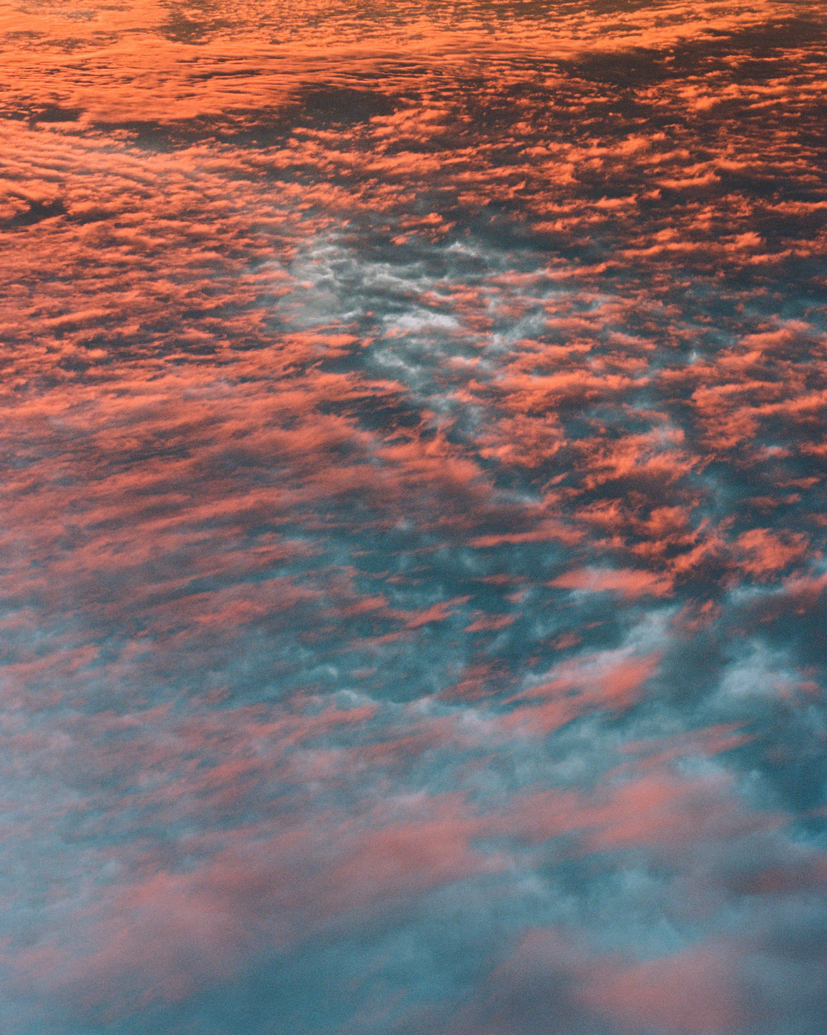 Orange & Blue