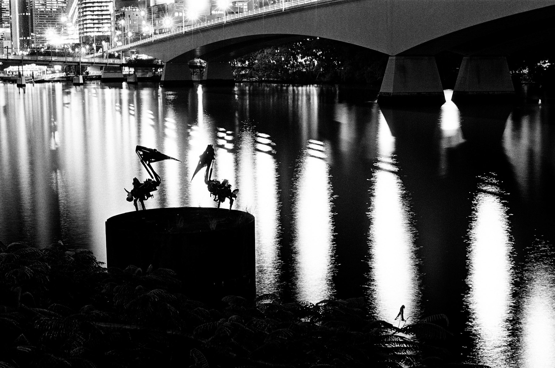 Silhouette of Christopher Trotter's 'Biomechanical Pelicans' (1995)