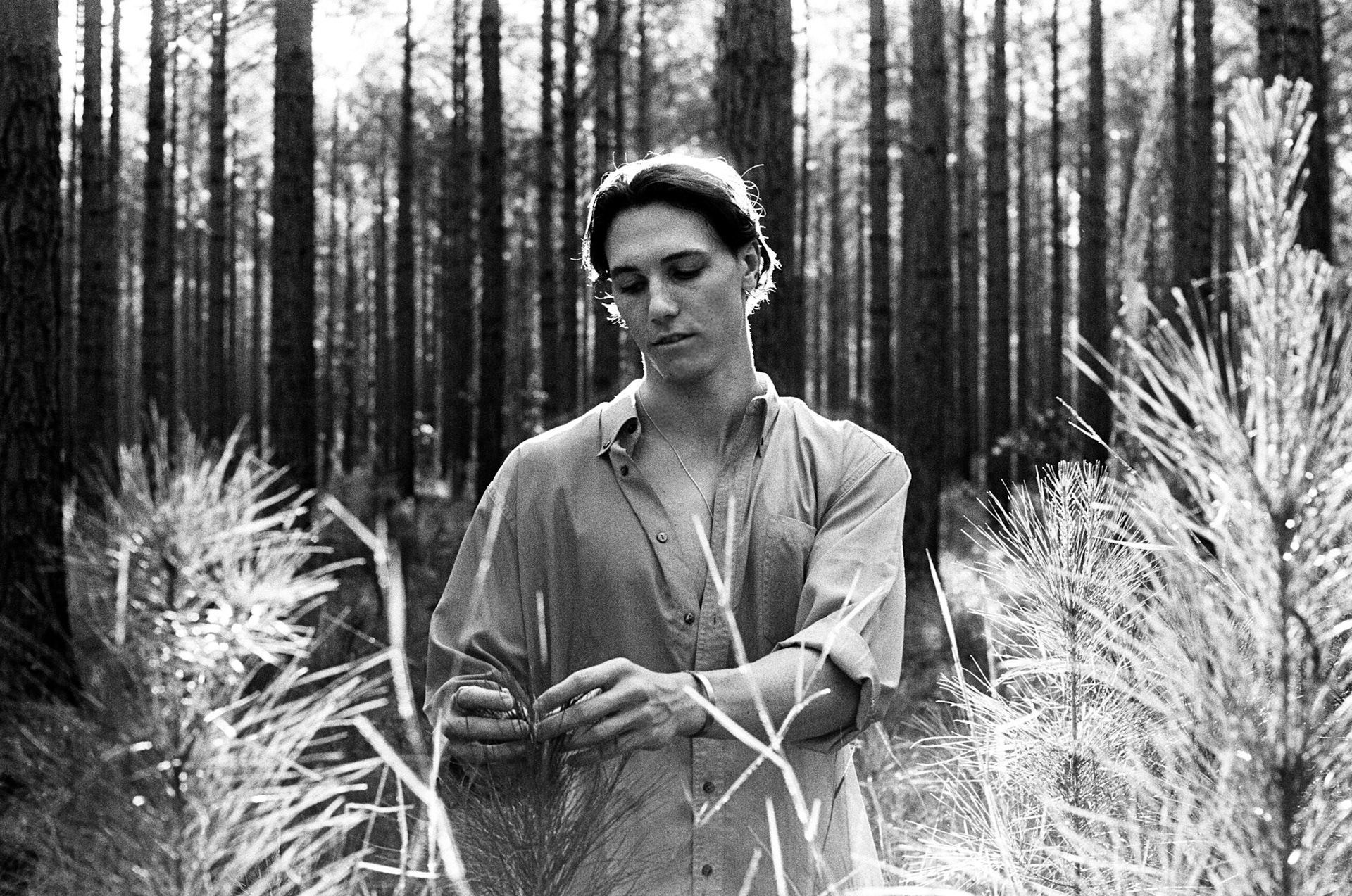 Riley in Beerburrum State Forest [I]