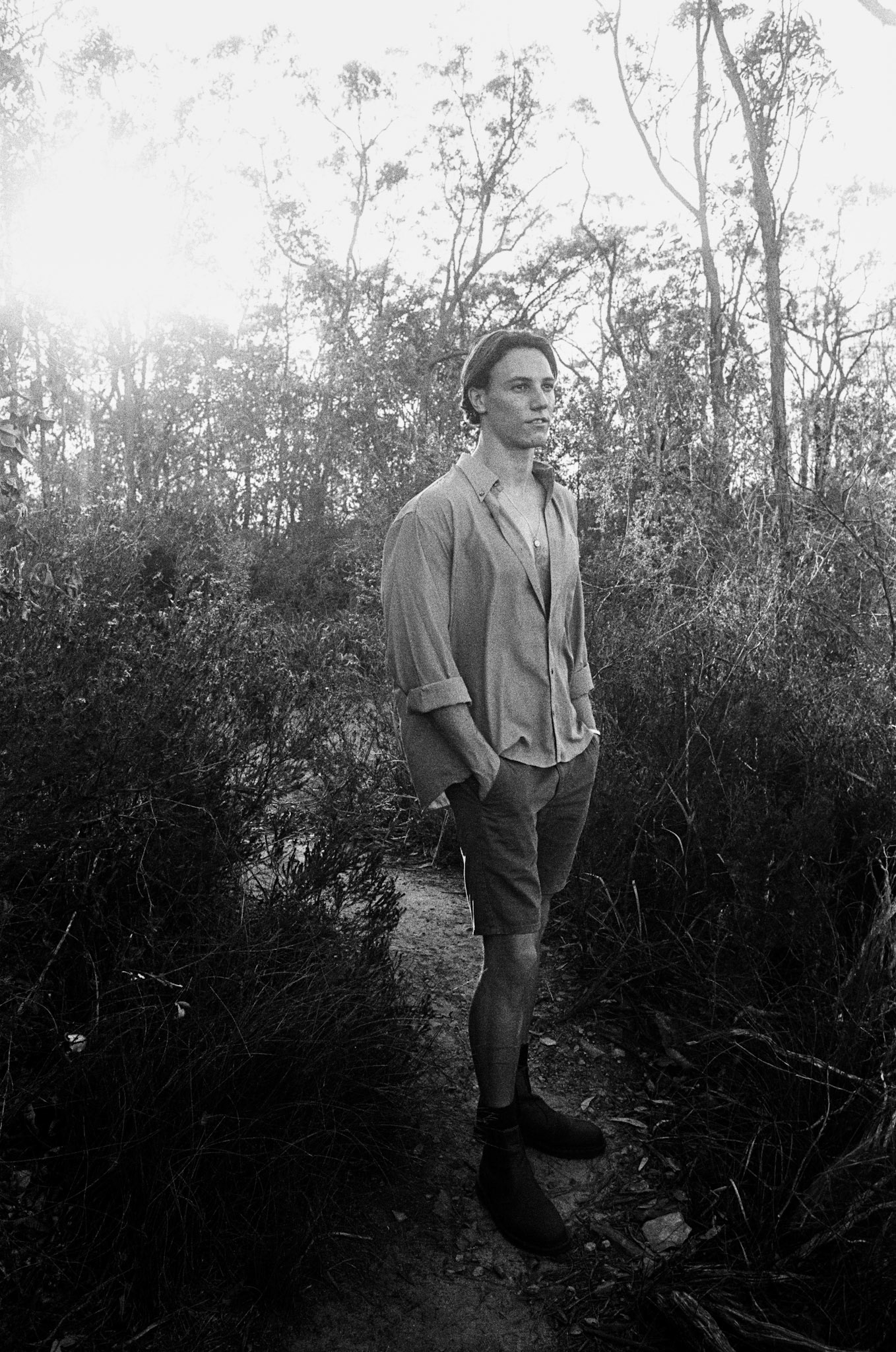 Riley on Wild Horse Mountain [I]