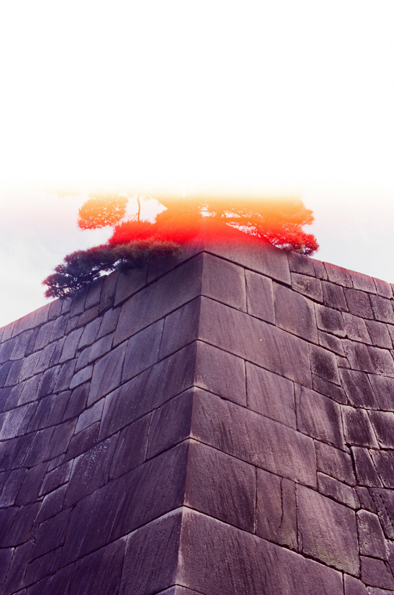 Edo Castle Ruins [2]