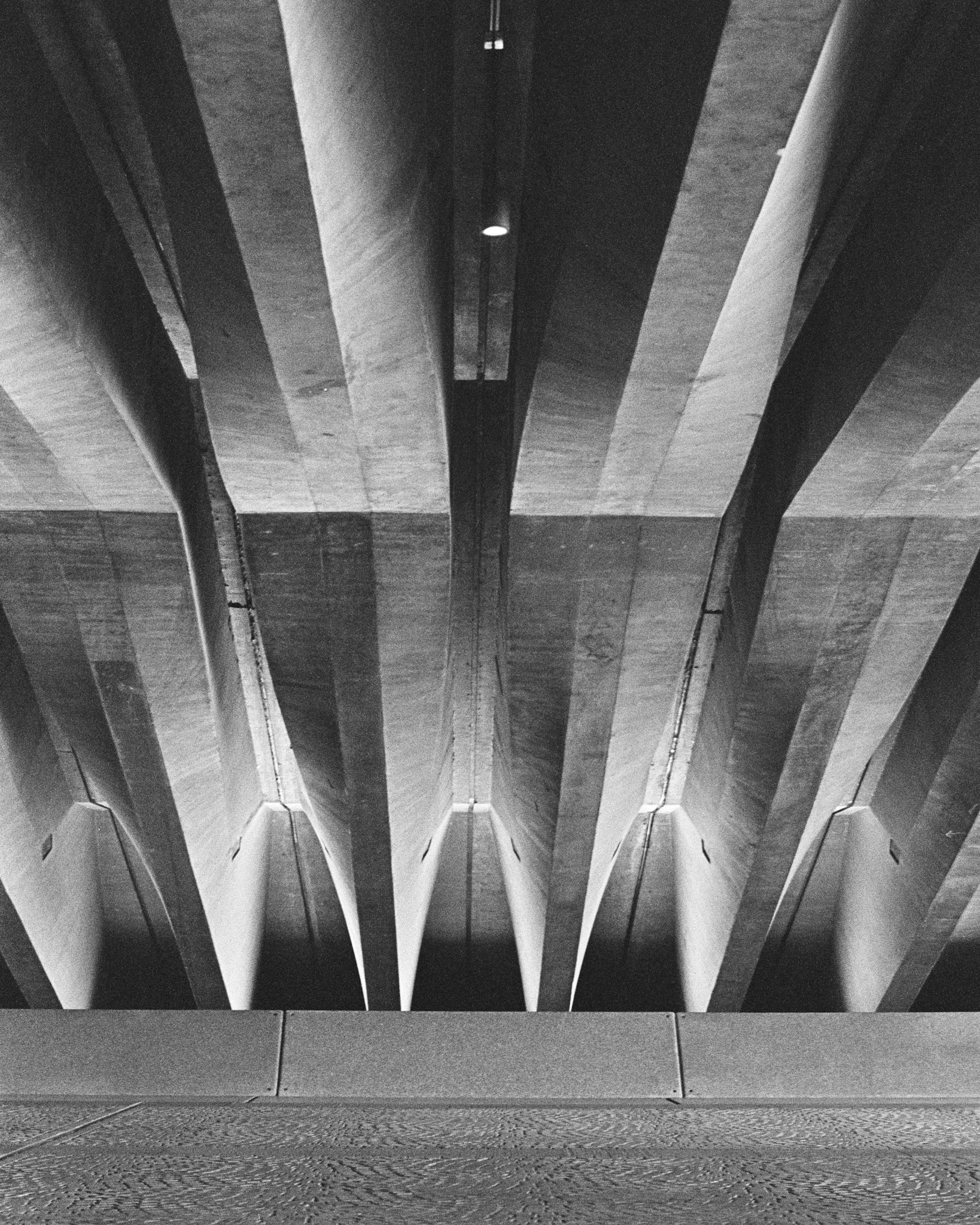 Concourse Ribs, Sydney Opera House