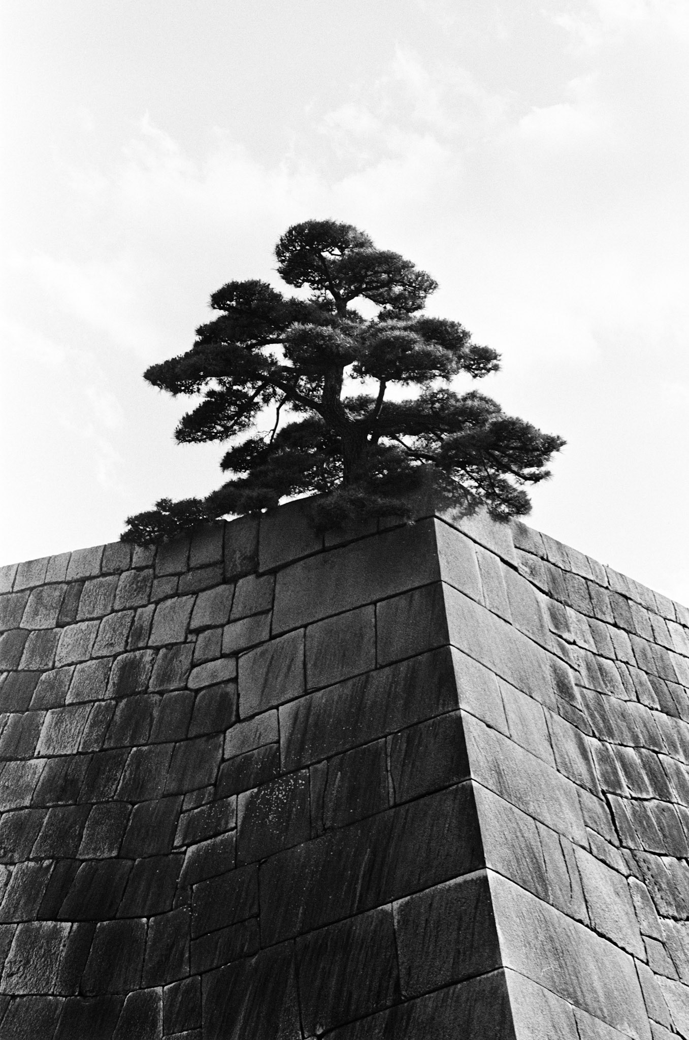 Edo Castle Ruins [1]