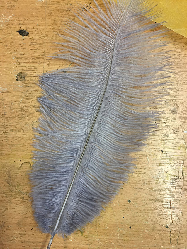 Feather for the Hair