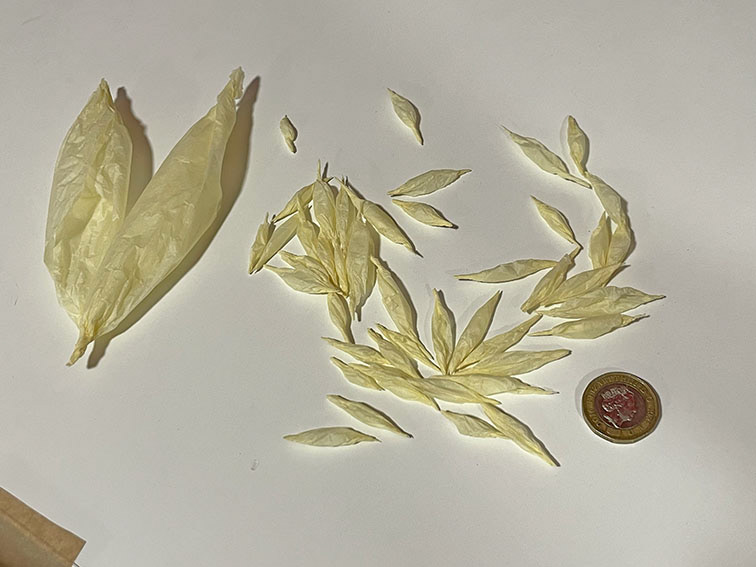 Making Corns in Large Scale
