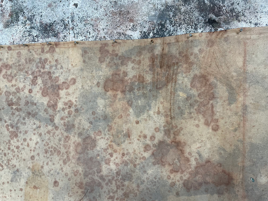 Adding Another Wash Tone