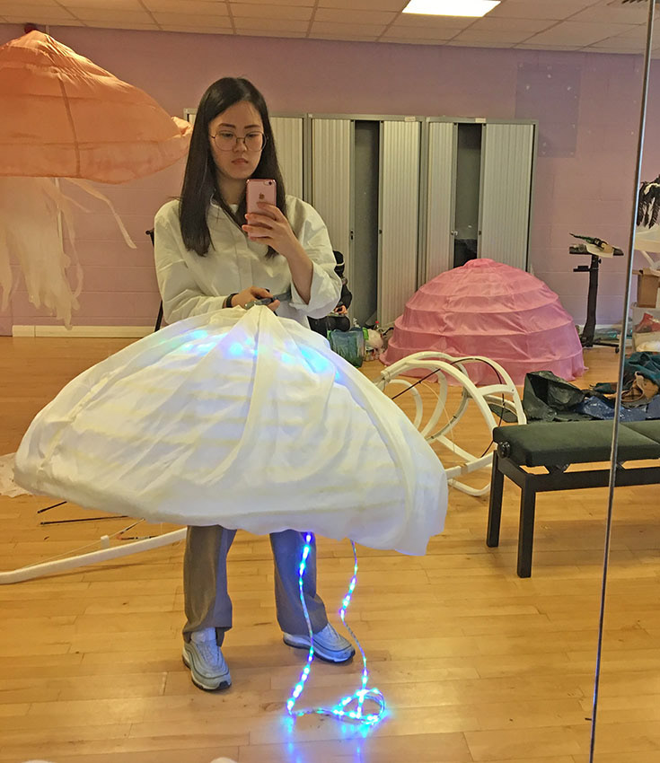 Testing LED Lights on Jellyfish