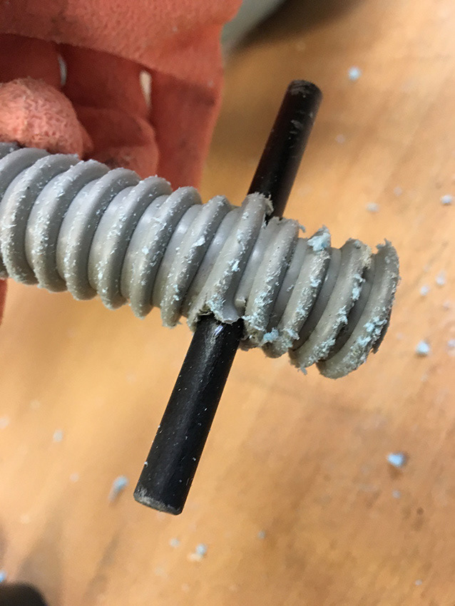 Bone for the Inside of Head