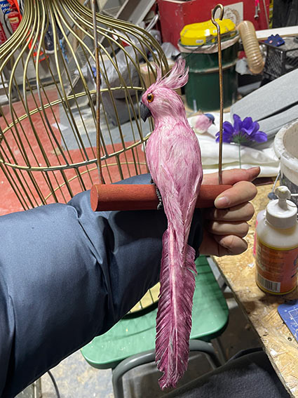 Repainting Parrot